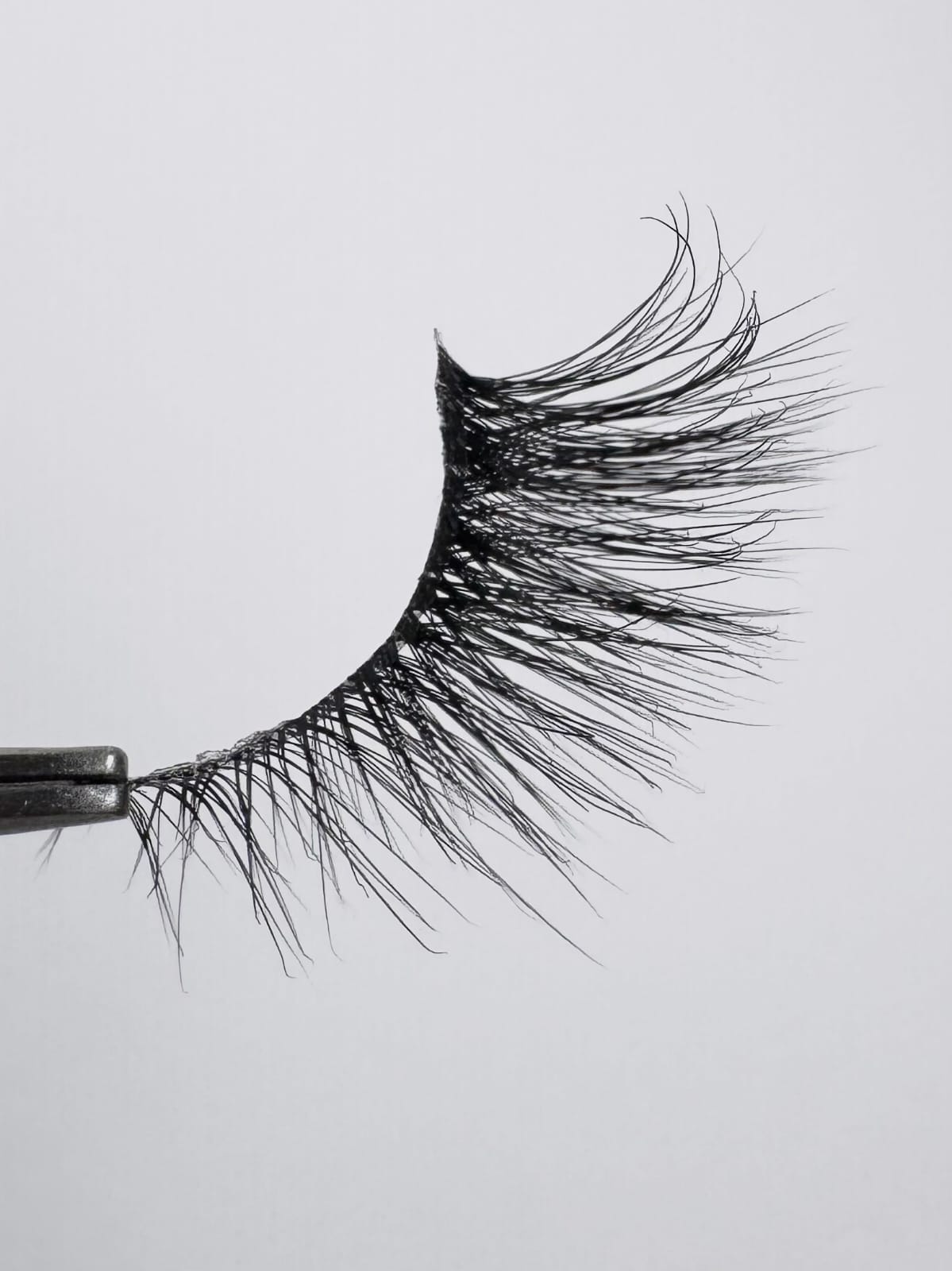 C2 – Corner Lashes